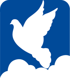 Piazza Sdrucciolo del Duomo, 13 Pescia PT